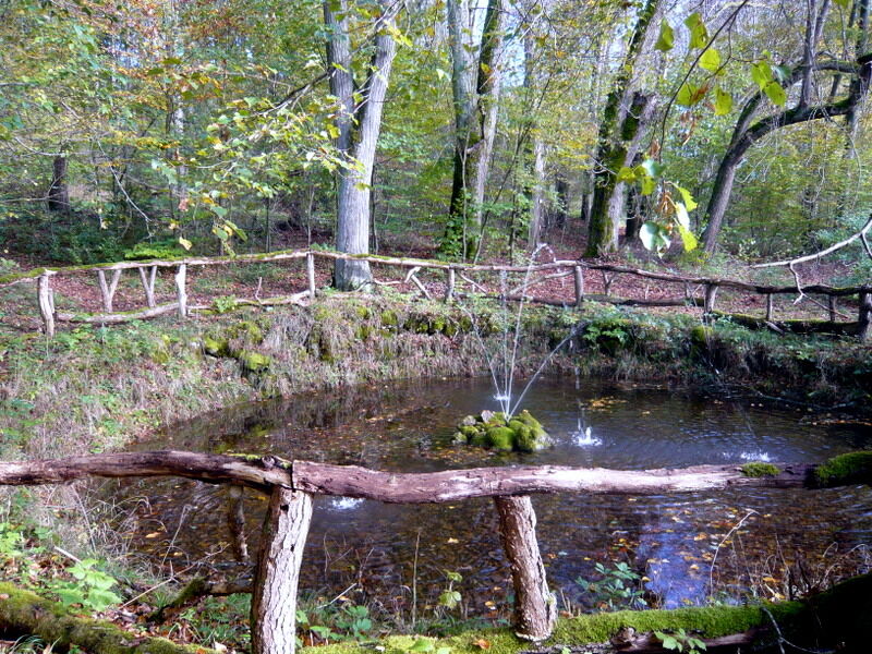 alb-guide-karin-marquard-mader-lustwandeln-auf-furstlichen-pfaden-spurensuche-vergangener-pracht-im-englischen-wald-bei-dischingen-carlsbrunnen-und-trugenhofen