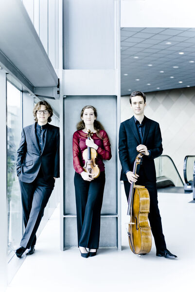 niko-friedrich-van-baerle-trio