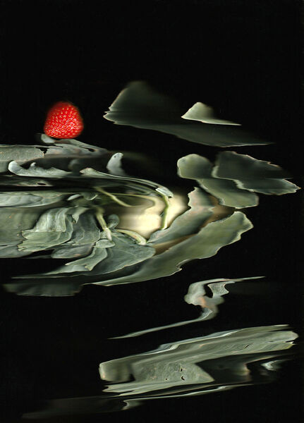 scans-von-gabi-merz-palleis