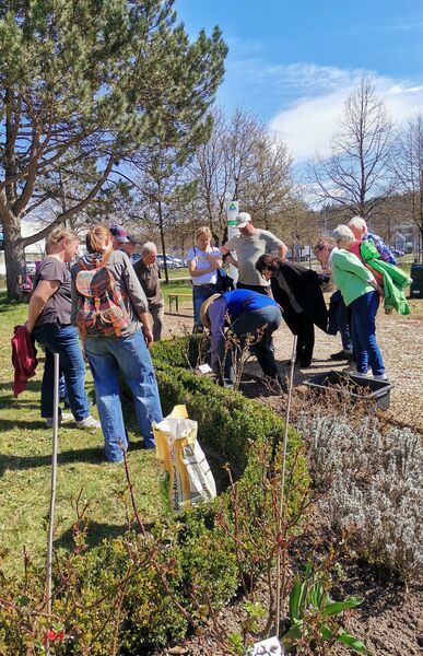 unterweisung-im-rosenschnitt