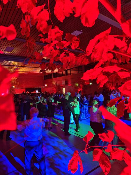 herbstball-in-oggenhausen-mit-der-mr-link-big-band