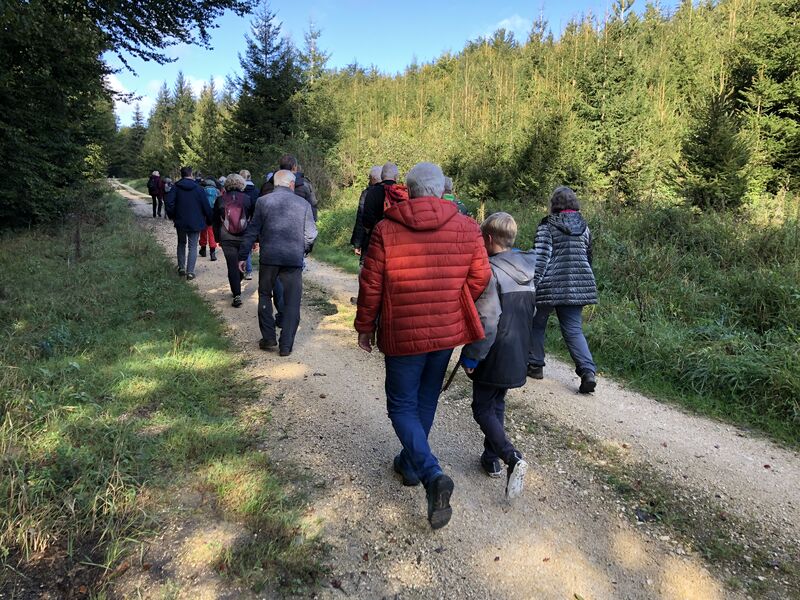 abgesagt-wanderung-zur-remsquelle