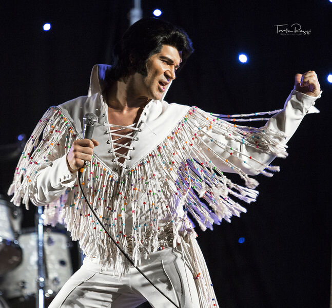 elvis-meets-dinner-2027-3-gange-menu
