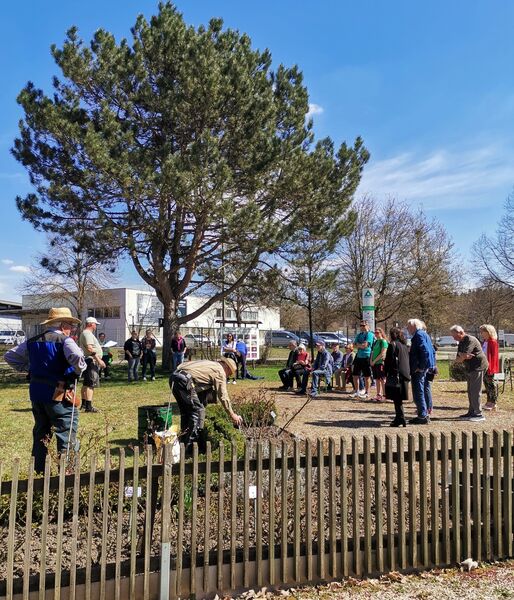 unterweisung-im-rosenschnitt