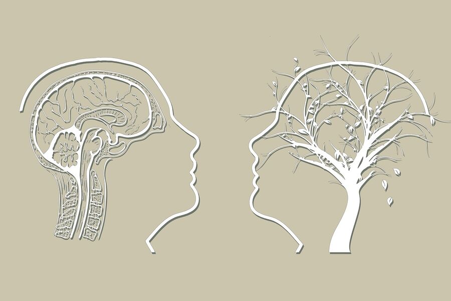 alzheimer-parkinson-wie-kann-man-sich-schutzen