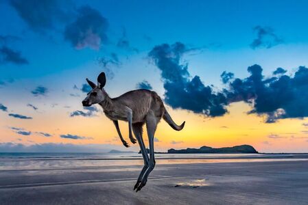 Australien - Ein Jahr grenzenlose Freiheit