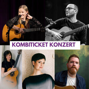 Kombiticket KONZERTE Freitag und Samstag