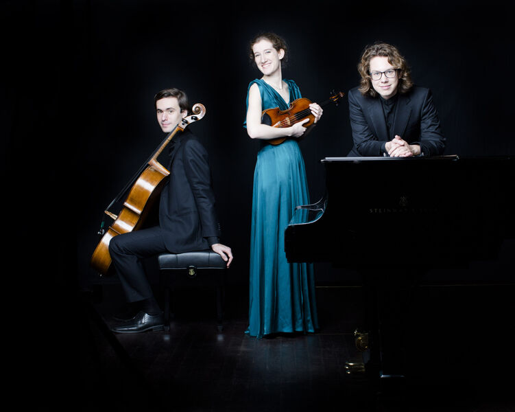 niko-friedrich-van-baerle-trio