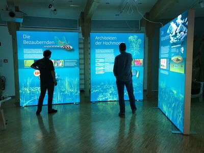 Ausstellung „Zukunft Moore! – Helden des Klimaschutzes“