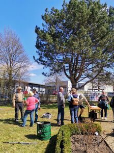 Unterweisung im Rosenschnitt