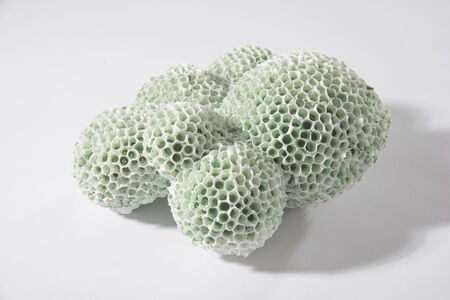 Wachsen und Grünen – Beate Gabriel und Heide Nonnenmacher