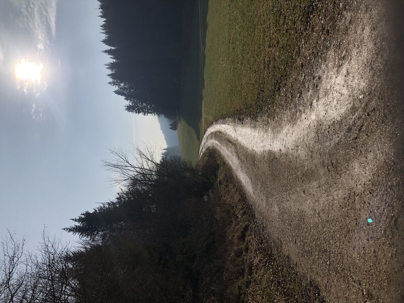 wanderung-zum-brezgenmarkt-im-hungerbrunnental