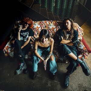 Schweizer Punk- und Noise-Rock mit The Toksin und Gab Scraper